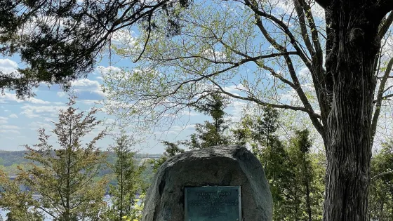 Birkmose Park