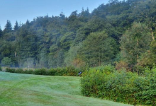 Furnace Mill Fishery景点图片