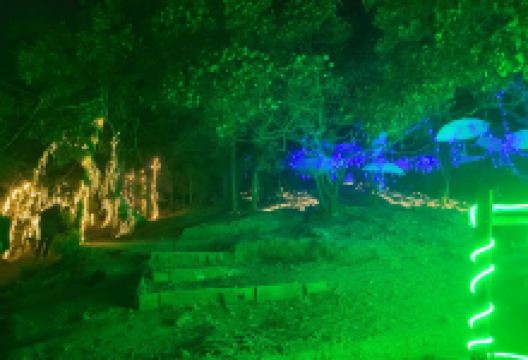 Cerro iluminado景点图片