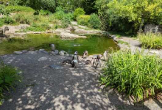 Sunnehof景点图片