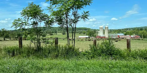 Readington River Buffalo Farm