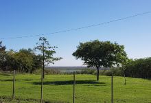 Vivero Municipal de Baradero Ing. Agr. Luciano Marcelo Stabile购物图片