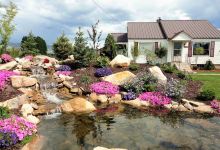 Country Gardens & Nursery购物图片