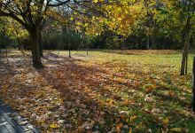 Park osiedlowy景点图片