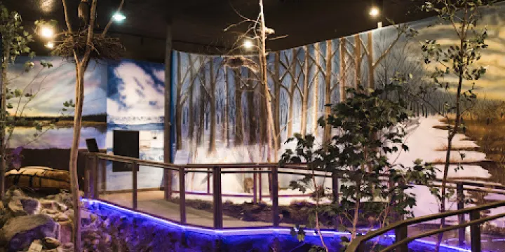 Stearns History Museum