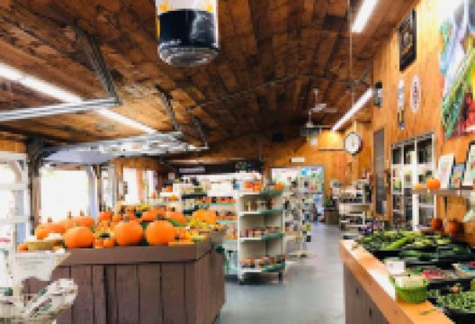 Thomas Farm & Garden购物图片