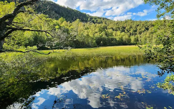 Craigellachie National Nature Reserve