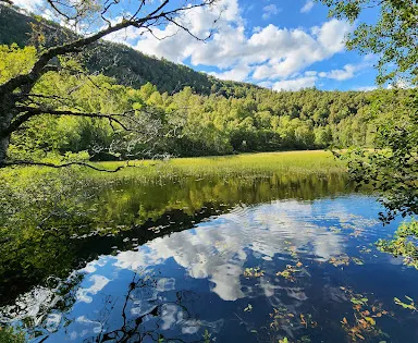 Craigellachie National Nature Reserve