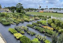 Tu Jardin Inc.景点图片