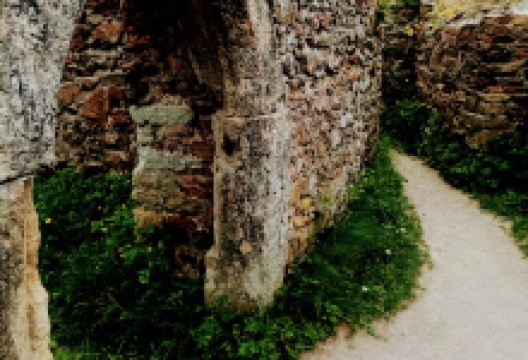 Zřícenina hradu Líšnice景点图片
