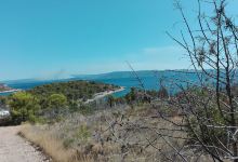 Park Novo Selo景点图片