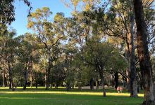 Perry Lakes Reserve Playground景点图片