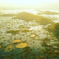 Thanga Khoirom Leikai图片