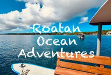 Roatan Ocean Adventures景点图片