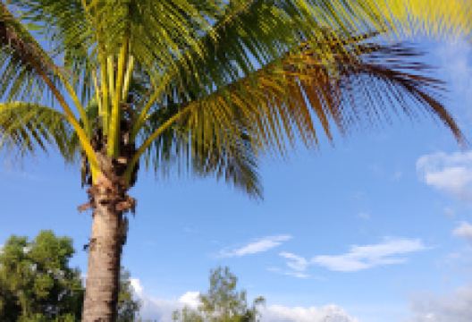Taman Rekreasi Pendang景点图片