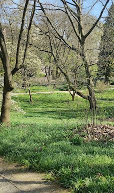Alter Botanischer Garten-基尔