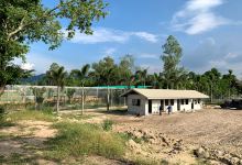 Stripes Restaurant and Thailand Tiger Rescue Centre美食图片