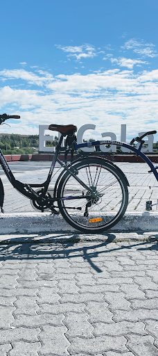 Baft Bike- alquiler de bicis-阿根廷湖县