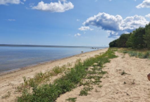 Valgalciems walking trail景点图片