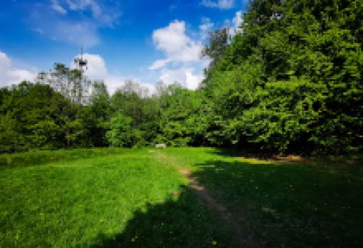 Limes-Wachturm景点图片