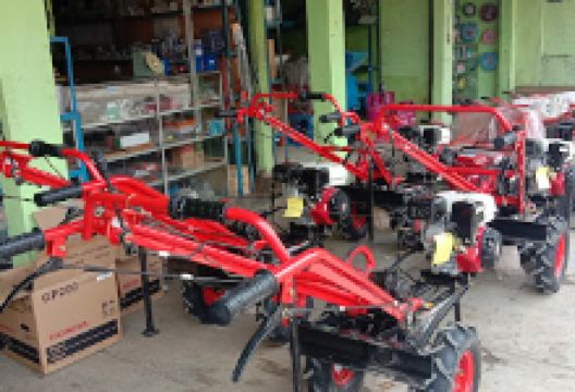 Rolmas Diesel购物图片