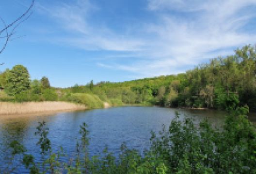 Bernhardsweiher景点图片