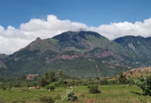 Kottaimalai vellimalai Karuppasamy kovil景点图片