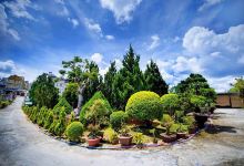 Tùng Bách Đà Lạt Garden景点图片