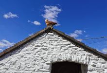 Pencoed Fach Farm景点图片