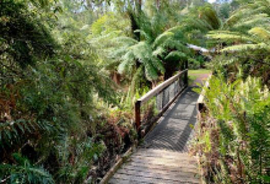 Platypus Walk景点图片