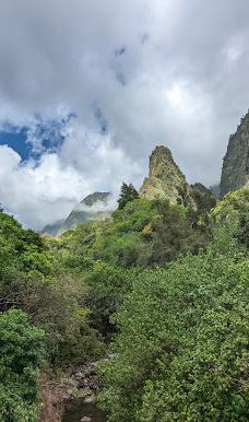 West Maui Forest Reserve-茂宜县