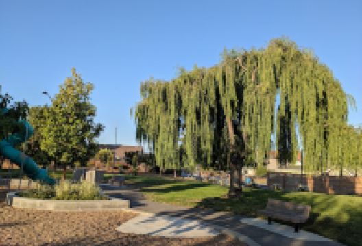 Laurie Meadows Park景点图片