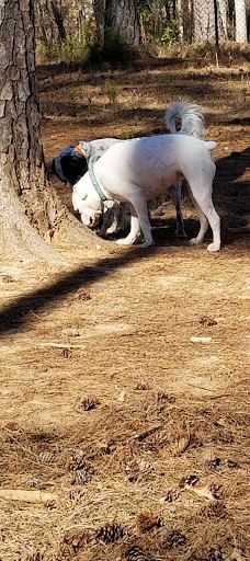 Grace Street Park-格林伍德