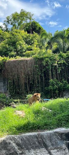 Seal and Penguin Park-宋卡