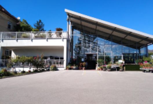 Krepela GesmbH, Floristik | Gärtnerei |Baumschule购物图片