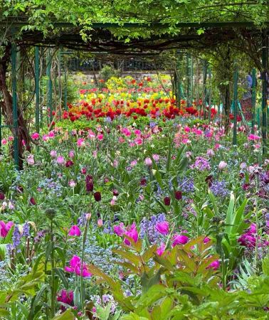 3天2晚 • 法國巴黎＋莫奈花園＋聖米歇爾山＋香波堡