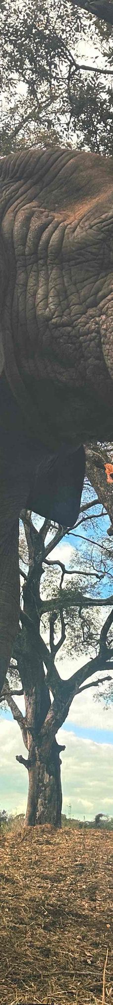 拉斯维加斯-YoYo_4F5G8A4P