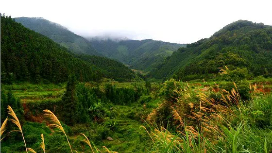 廣東省連山壯族瑤族自治縣生態公益林