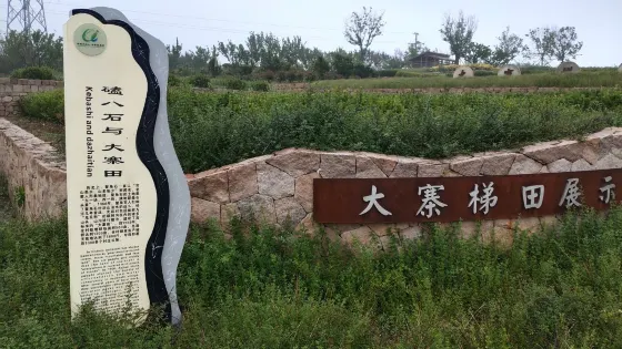 大寨梯田