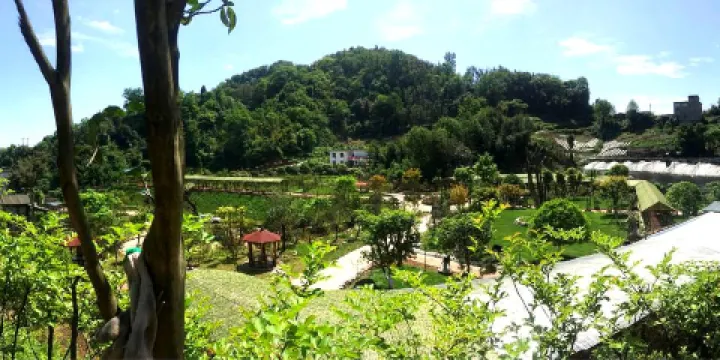 雅安市雨城區雅露植物園