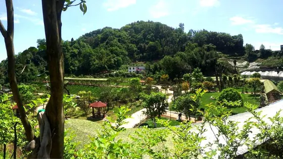 雅安市雨城區雅露植物園