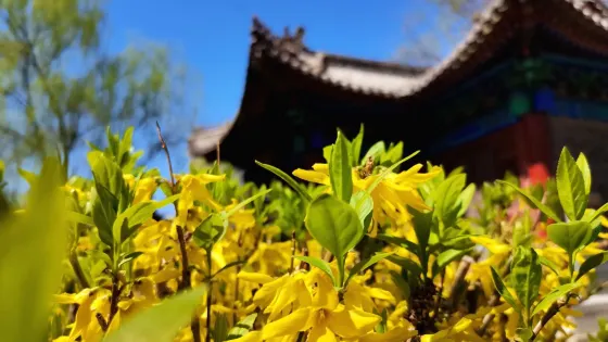 九龍灣公園