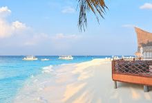 Ocean View Swing景点图片