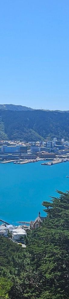 维多利亚山-惠灵顿