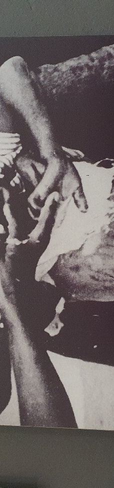 海克特‧彼特森博物馆-索韦托