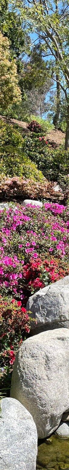 Japanese Friendship Garden & Museum-圣地亚哥