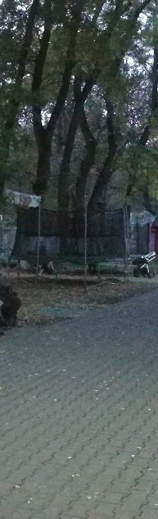 Bozdoshskiy Park-乌日霍罗德