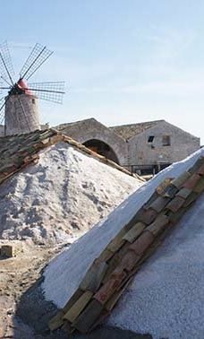 Salt Museum-特拉帕尼省