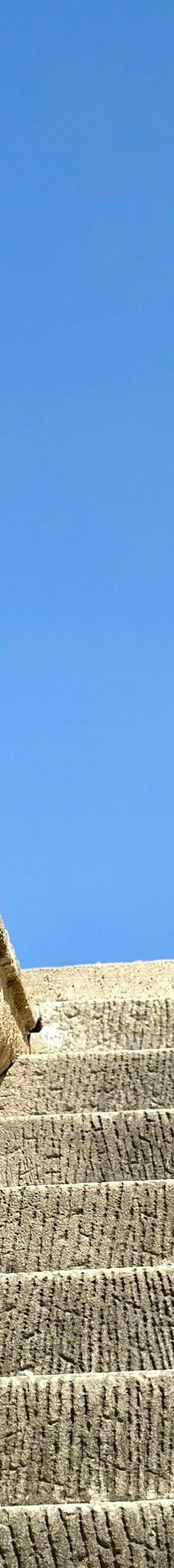 巴埃洛克劳狄亚-塔里法