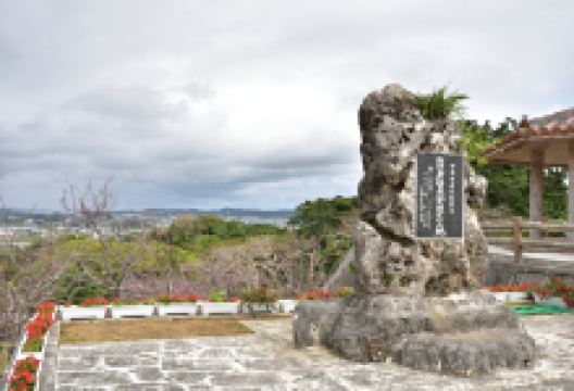 樱花.灯光 八重濑公园景点图片